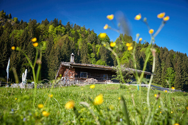 240520-Alpegschwenderberg-0033-Low